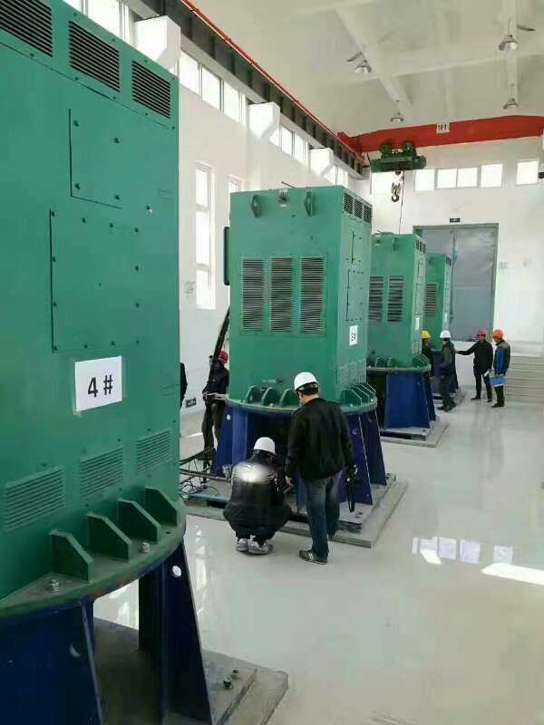 宝山某污水处理厂使用我厂的立式高压电机安装现场